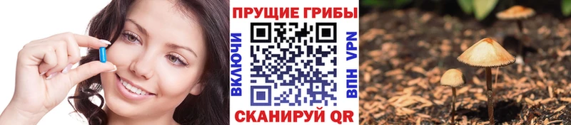 Купить закладки  Абаза  Галлюциногенные грибы Psilocybe 